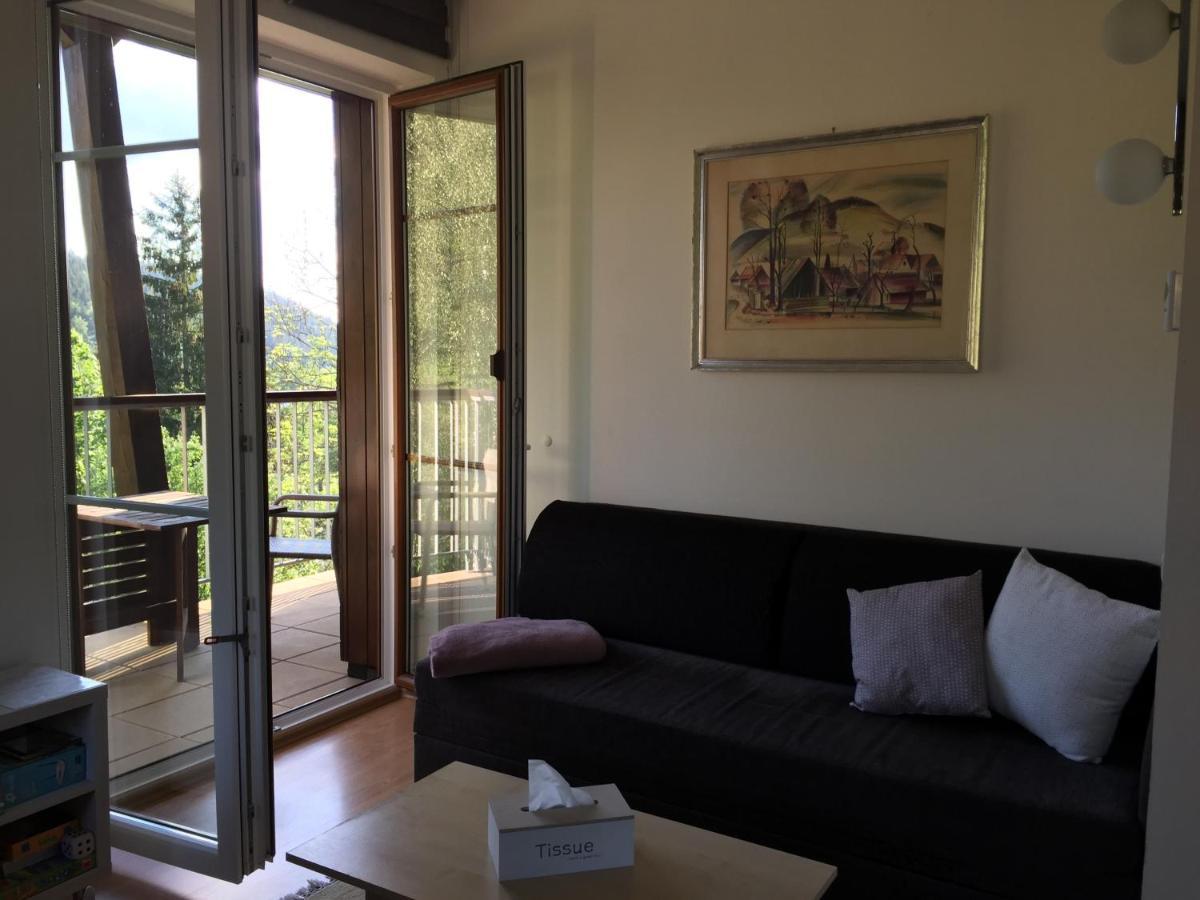 Apartman U Sjezdovky Velké Karlovice 外观 照片